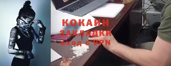 гидра Арсеньев