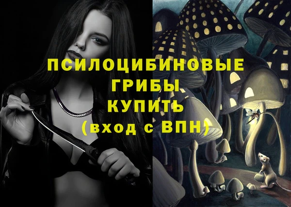 МДПВ Алексеевка