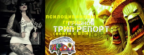 МДПВ Алексеевка