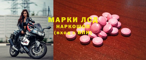 гидра Алексин