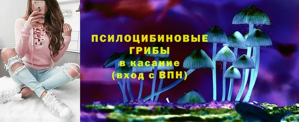 МДПВ Алексеевка